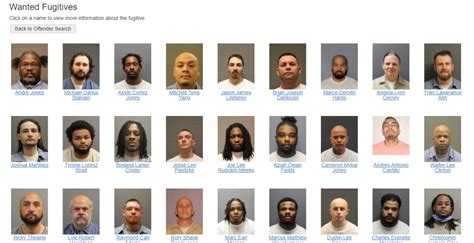 city jail inmate list.